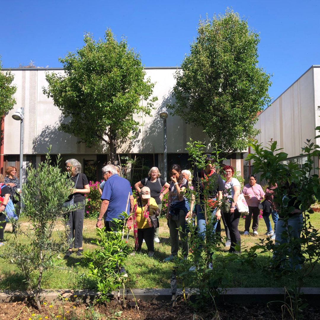 imatge quadrada web (1080 x 1080 px) (6)