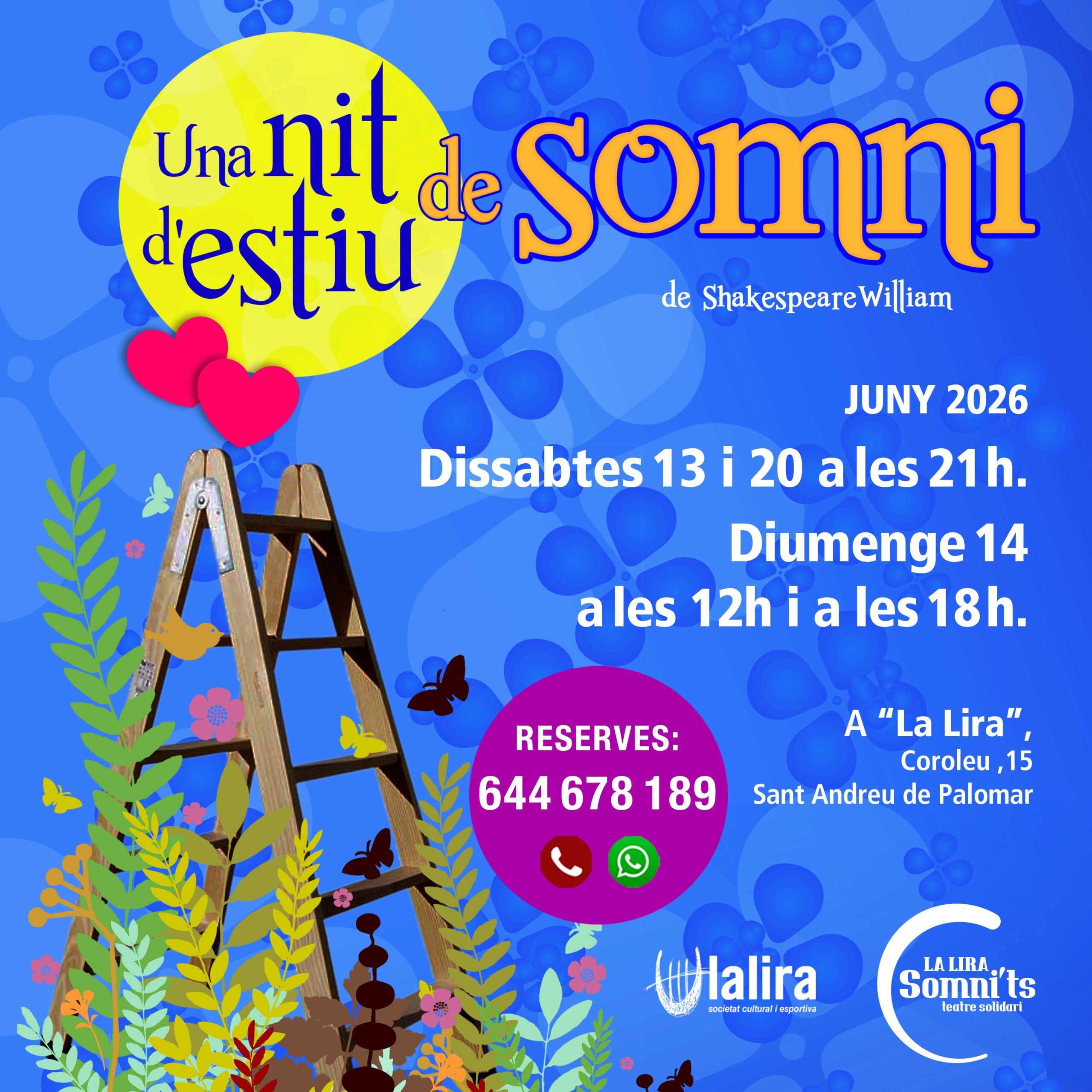 somni_post xarxes_juny26_reduit